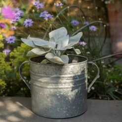 Galvanised Planter With Handles 8 Galvanised Planter With Handles -Ever Bloom Gardens pr2000026340 card3 lg