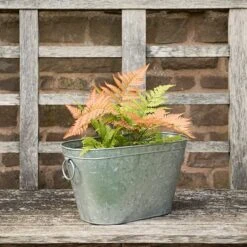Galvanised Metal Trough -Ever Bloom Gardens pr2000026345 card5 lg