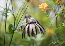 Echinacea Plant Stake - Antique Bronze -Ever Bloom Gardens pr2000026357 card3 lg