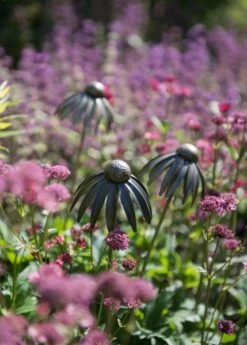 Echinacea Plant Stake - Antique Bronze -Ever Bloom Gardens pr2000026357 card8 lg