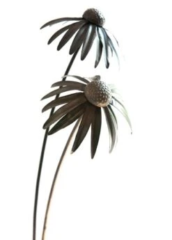 Echinacea Plant Stake - Antique Bronze -Ever Bloom Gardens pr2000026357 card9 lg