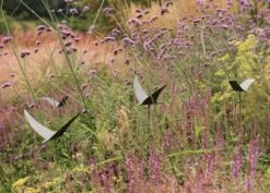 Silhouette Flying Bird 10 Silhouette Flying Bird -Ever Bloom Gardens pr2000026361 card3 lg