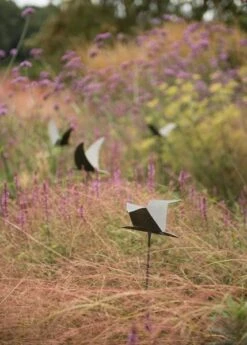 Silhouette Flying Bird 11 Silhouette Flying Bird -Ever Bloom Gardens pr2000026361 card4 lg