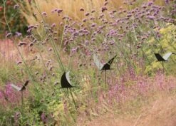 Silhouette Flying Bird 12 Silhouette Flying Bird -Ever Bloom Gardens pr2000026361 card5 lg