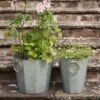 Faceted Galvanised Planter -Ever Bloom Gardens pr2000027856