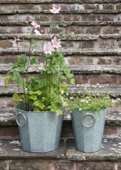 Faceted Galvanised Planter -Ever Bloom Gardens pr2000027856 card4 lg