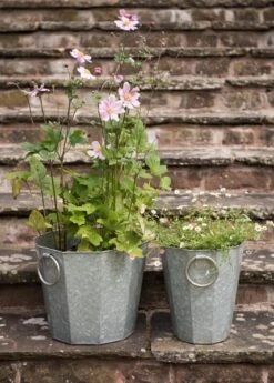 Faceted Galvanised Planter -Ever Bloom Gardens pr2000027856 card5 lg