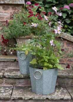 Faceted Galvanised Planter -Ever Bloom Gardens pr2000027856 card6 lg