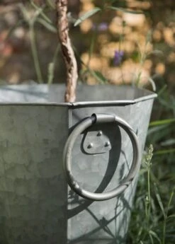 Faceted Galvanised Planter -Ever Bloom Gardens pr2000027856 card8 lg