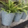 Galvanised Wall Planters - Set Of 3