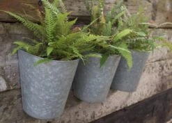 Galvanised Wall Planters - Set Of 3 -Ever Bloom Gardens pr2000027861 card6 lg
