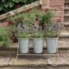 Three Galvanised Pots And Stand -Ever Bloom Gardens pr2000027863