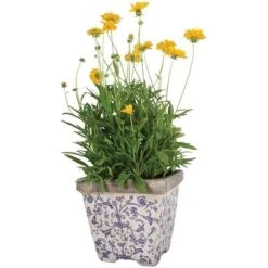 Aged Ceramic Flower Pots - Set Of 3 7 Aged Ceramic Flower Pots - Set Of 3 -Ever Bloom Gardens pr2000028008 card3 lg