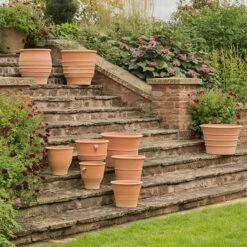 Monachou Terracotta Pot -Ever Bloom Gardens pr2000028341 card4 lg