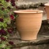 Krios Terracotta Pot -Ever Bloom Gardens pr2000028343