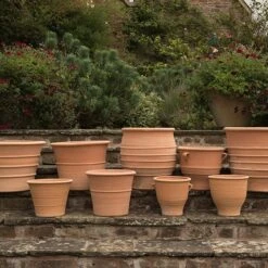 Krios Terracotta Pot -Ever Bloom Gardens pr2000028343 card3 lg