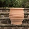 Fraska Terracotta Pot -Ever Bloom Gardens pr2000028347