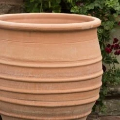 Fraska Terracotta Pot -Ever Bloom Gardens pr2000028347 card3 lg