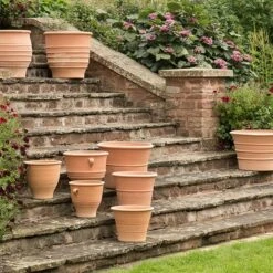 Fraska Terracotta Pot -Ever Bloom Gardens pr2000028347 card4 lg