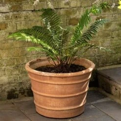 Monachou Fardipati Terracotta Pot -Ever Bloom Gardens pr2000028348 card2 lg