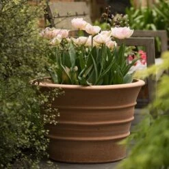 Monachou Fardipati Terracotta Pot -Ever Bloom Gardens pr2000028348 card6 lg