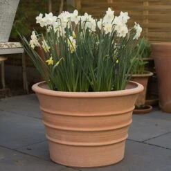 Monachou Fardipati Terracotta Pot -Ever Bloom Gardens pr2000028348 card7 lg