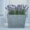 Galvanised Planter -Ever Bloom Gardens pr2000028358