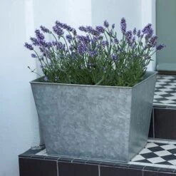Galvanised Planter -Ever Bloom Gardens pr2000028358 card7 lg