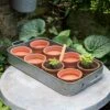 Terracotta Grow Pots - Set Of 8 With Tray -Ever Bloom Gardens pr2000028372