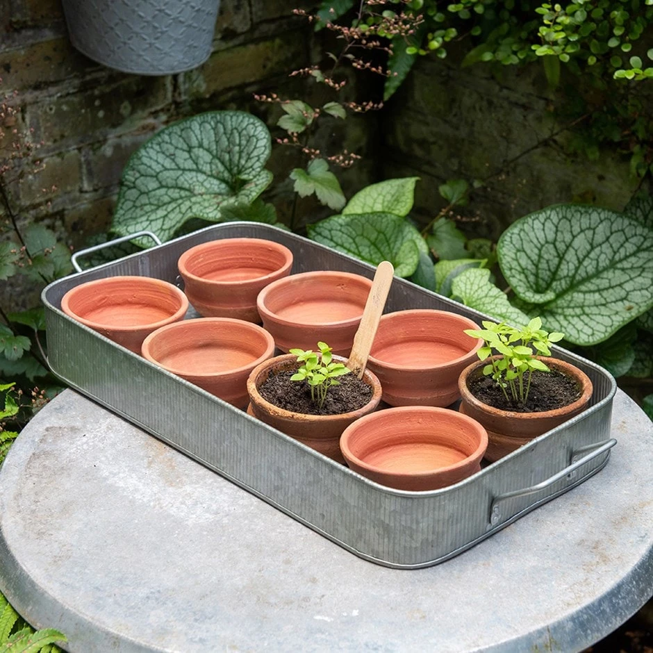 Terracotta Grow Pots - Set Of 8 With Tray 3 Terracotta Grow Pots - Set Of 8 With Tray