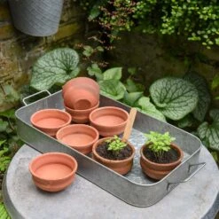 Terracotta Grow Pots - Set Of 8 With Tray 14 Terracotta Grow Pots - Set Of 8 With Tray -Ever Bloom Gardens pr2000028372 card4 lg