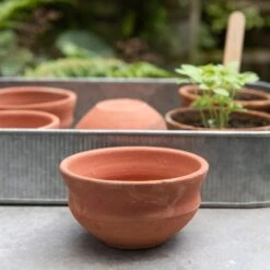 Terracotta Grow Pots - Set Of 8 With Tray 15 Terracotta Grow Pots - Set Of 8 With Tray -Ever Bloom Gardens pr2000028372 card5 lg