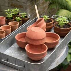 Terracotta Grow Pots - Set Of 8 With Tray 17 Terracotta Grow Pots - Set Of 8 With Tray -Ever Bloom Gardens pr2000028372 card7 lg