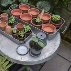 Terracotta Grow Pots - Set Of 8 With Tray 18 Terracotta Grow Pots - Set Of 8 With Tray -Ever Bloom Gardens pr2000028372 card8 lg