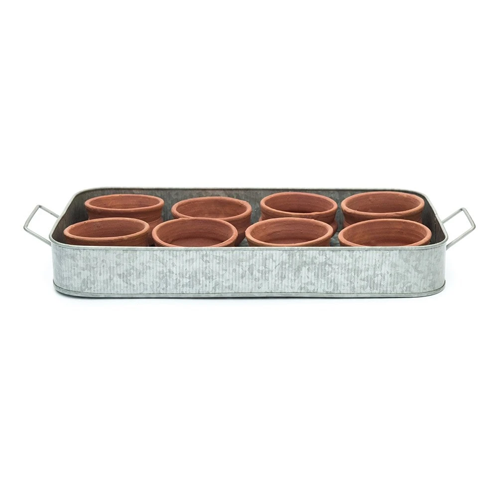 Terracotta Grow Pots - Set Of 8 With Tray 11 Terracotta Grow Pots - Set Of 8 With Tray - Image 9
