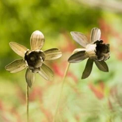 Daffodil Flower Stake - Antique Brass 11 Daffodil Flower Stake - Antique Brass -Ever Bloom Gardens pr2000028377 card3 lg