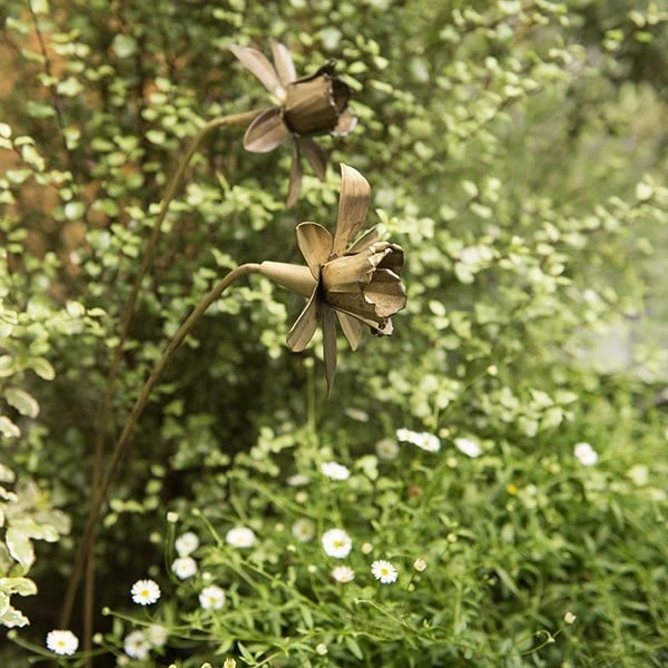 Daffodil Flower Stake - Antique Brass 9 Daffodil Flower Stake - Antique Brass - Image 7