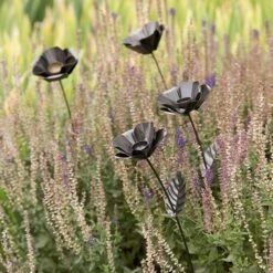 Poppy Flower Stake -Ever Bloom Gardens pr2000028381 card3 lg