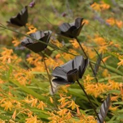 Poppy Flower Stake -Ever Bloom Gardens pr2000028381 card7 lg