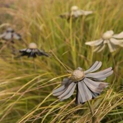 Helenium Flower Stake -Ever Bloom Gardens pr2000028383 card10 lg