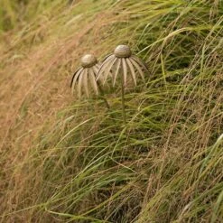 Echinacea Plant Stake - Antique Brass 14 Echinacea Plant Stake - Antique Brass -Ever Bloom Gardens pr2000028406 card7 lg
