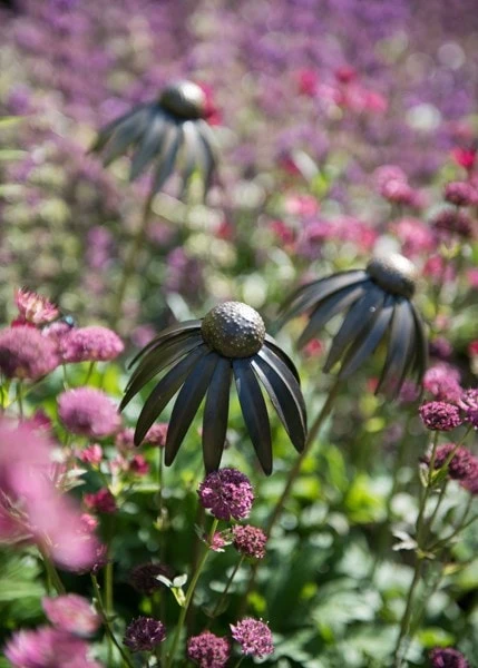 Echinacea Plant Stake - Antique Pewter 4 Echinacea Plant Stake - Antique Pewter - Image 2