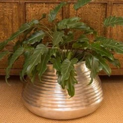 Ribbed Aluminium Pot -Ever Bloom Gardens pr2000028416 card4 lg
