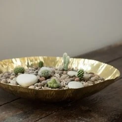 Brass Plant Bowl -Ever Bloom Gardens pr2000028421 card3 lg
