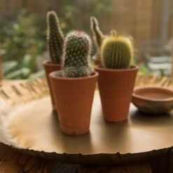 Brass Tray -Ever Bloom Gardens pr2000028422 card4 lg