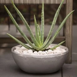 Rough Cast Aluminium Bowl -Ever Bloom Gardens pr2000028424 card6 lg