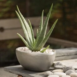 Rough Cast Aluminium Bowl -Ever Bloom Gardens pr2000028424 card8 lg
