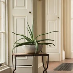 Rough Cast Aluminium Bowl -Ever Bloom Gardens pr2000028424 card9 lg