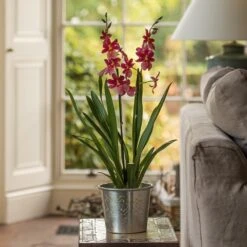 Hand Etched Aluminium Planter -Ever Bloom Gardens pr2000028556 card5 lg