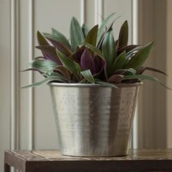 Hand Etched Aluminium Planter -Ever Bloom Gardens pr2000028556 card6 lg